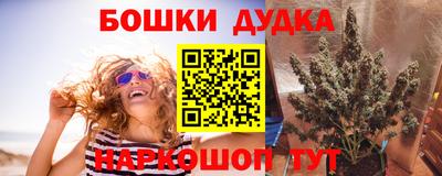 a pvp Будённовск