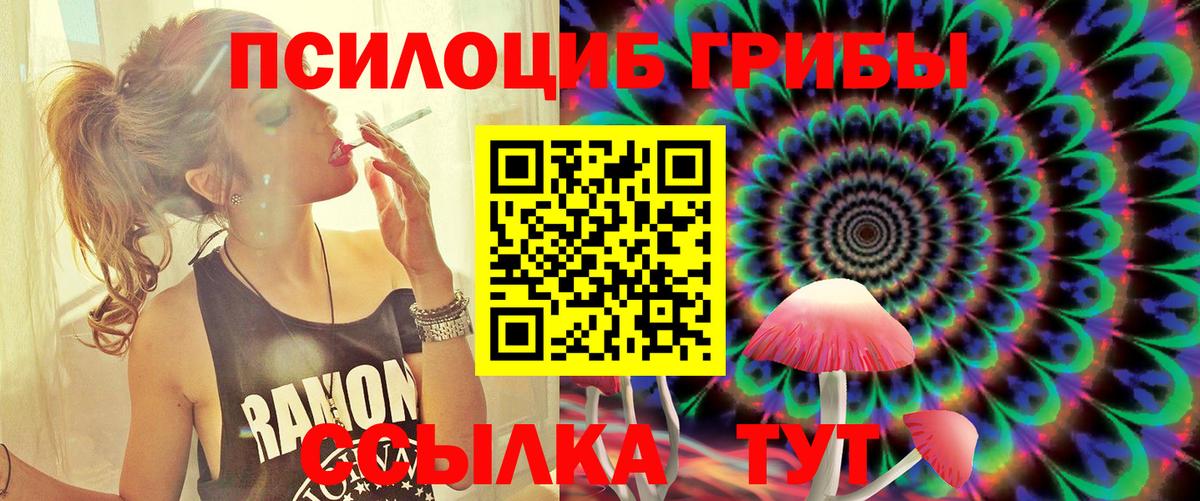 Междуреченск  Псилоцибиновые грибы Psilocybe  Вход с VPN 